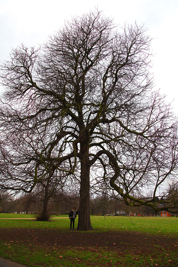 focus-aventure-londres-hyde-park