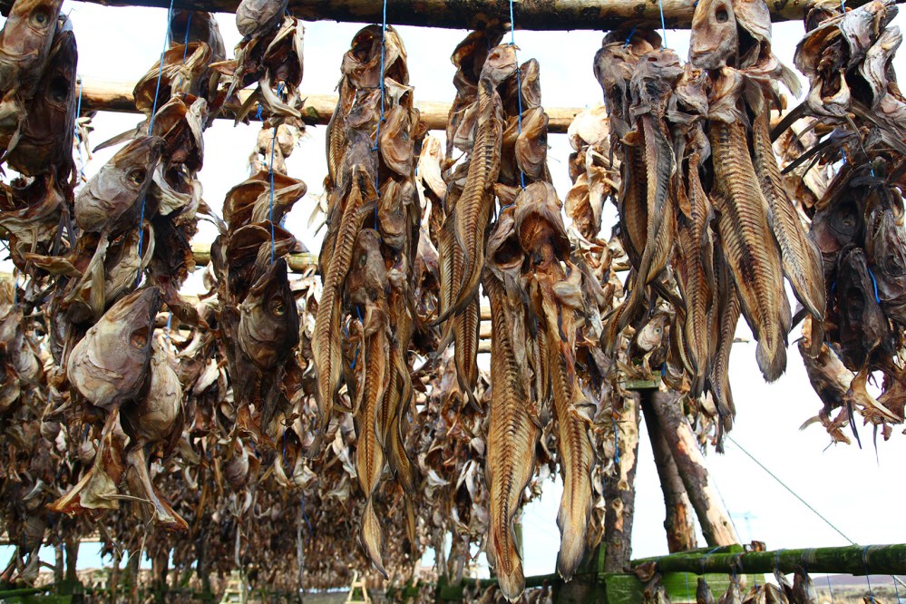 julia-laffaille-focus-aventure-islande-reykjavik (23)