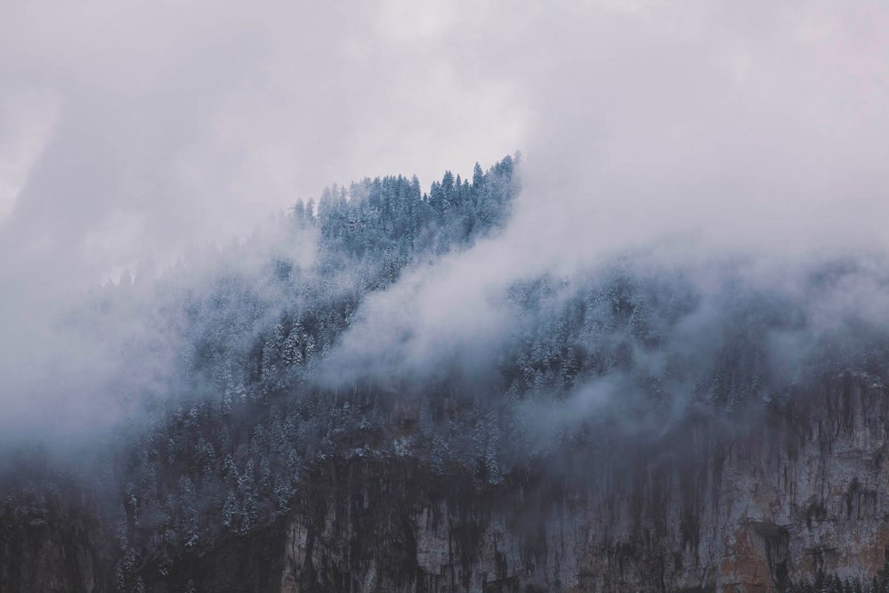 focus-aventure-chartreuse-montagne-hiver-paysage