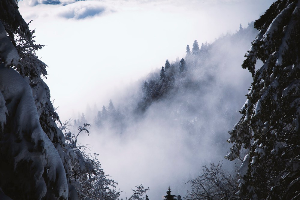 focus-aventure-chartreuse-montagne-la-pinea-paysage
