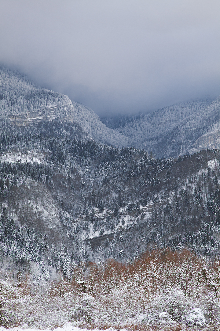 focus-aventure-chartreuse-montagne-paysage-saint-laurent-du-pont