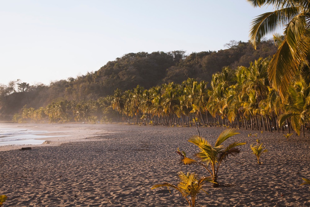costa-rica-focus-aventure-julia-lt-samara-carillo-paysage-plage-2
