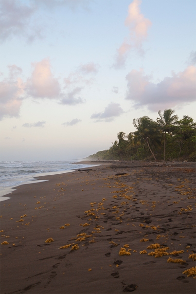 costa-rica-focus-aventure-julia-lt-tortuguero-paysage-plage