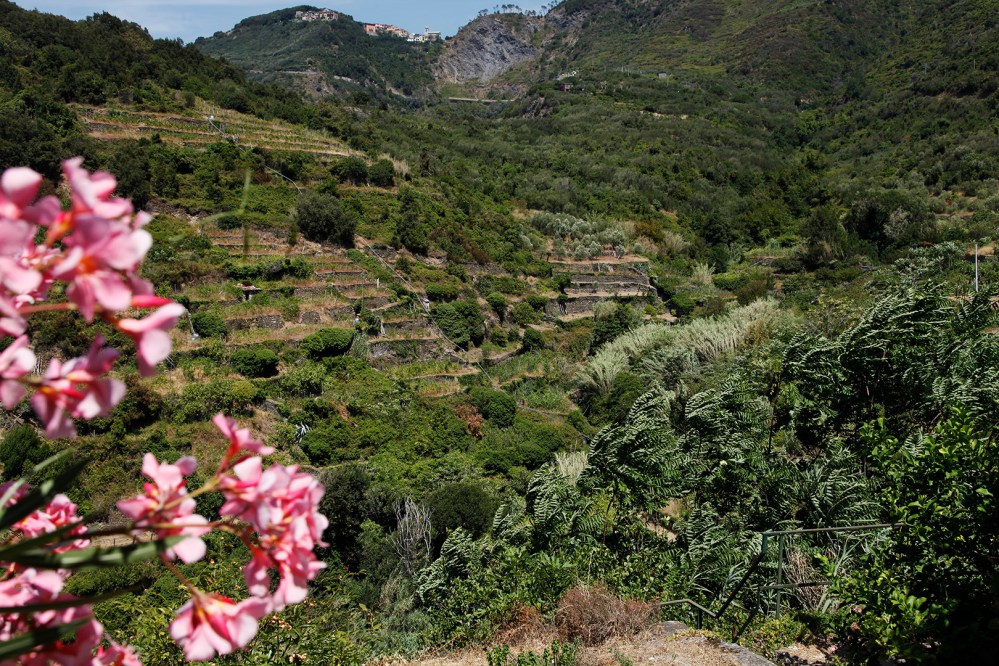 julia-laffaille-focus-aventure-cinque-terre-italie-corniglia-paysage
