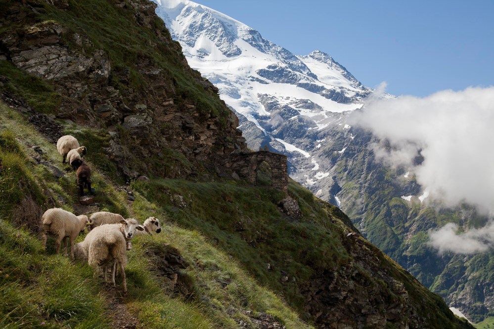 julia-laffaille-focus-aventure-savoie-col-tricot