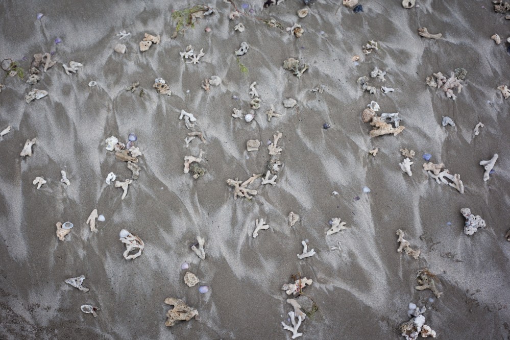 focus_aventure_laffaille_julia_vietnam_con_dao-0273