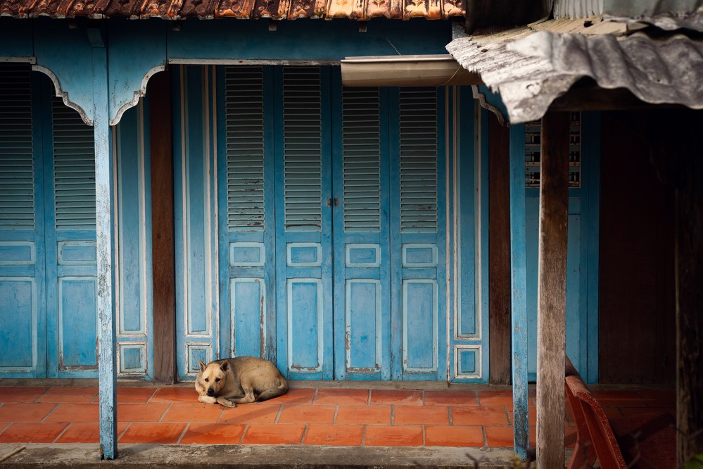 laffaille_julia_focus_aventure_vietnam-9318